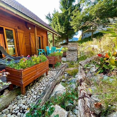 Chalet Des Feignes La Bresse Eksteriør bilde