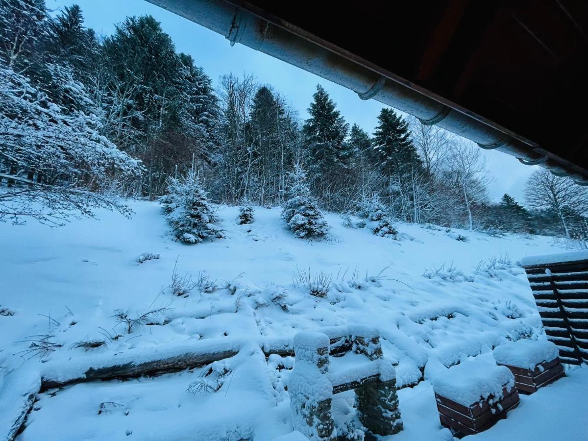 Chalet Des Feignes La Bresse Eksteriør bilde